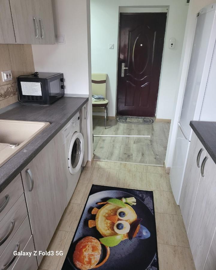 Apartament In Bucovina, Campulung Moldovenesc, Impecabil . Apartman Kültér fotó